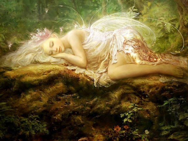 ninfa2