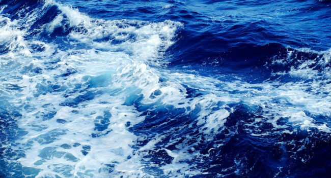 mare
